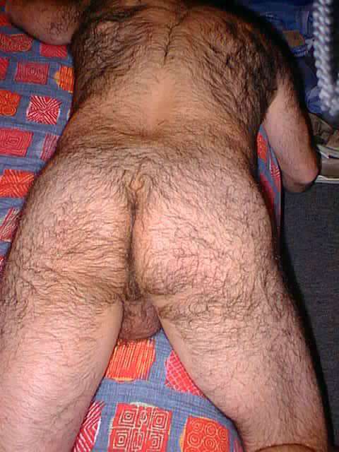 Featured bear