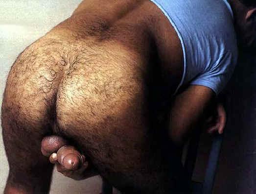 Featured bear