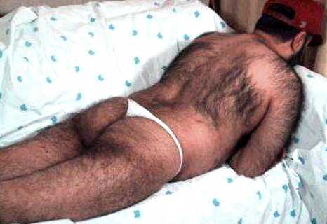 Featured bear