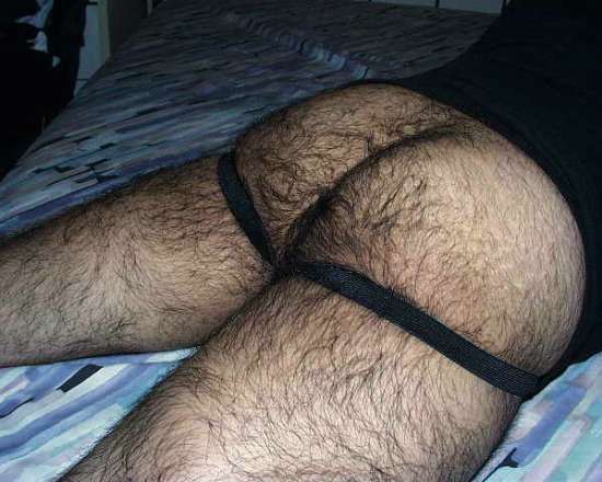 Featured bear
