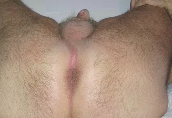 Featured bear