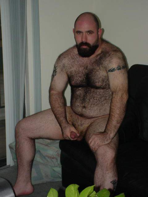 Featured bear