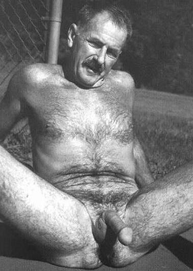 Featured bear