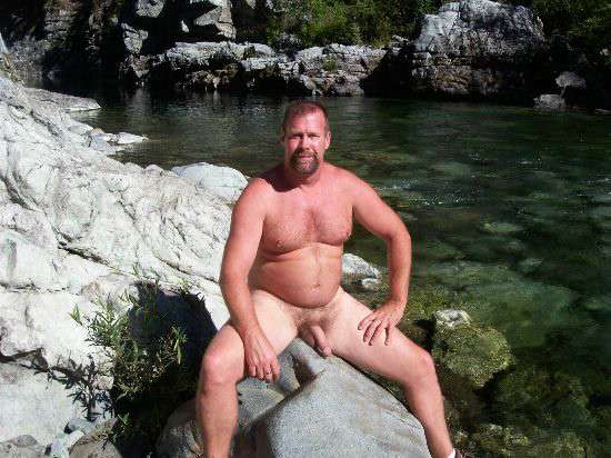 Featured bear