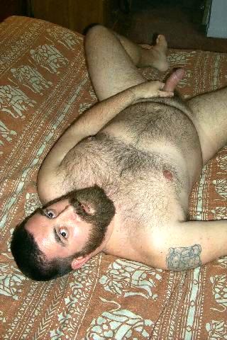 Featured bear