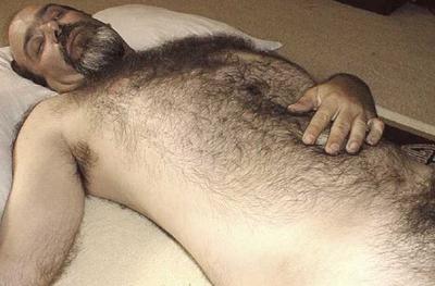 Featured bear