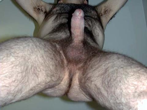 Featured bear