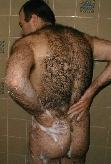 Featured bear