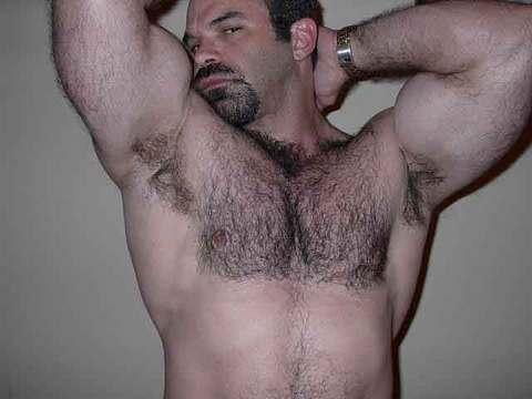Featured bear