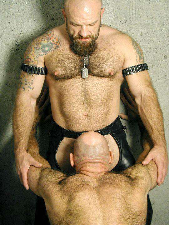 Featured bear