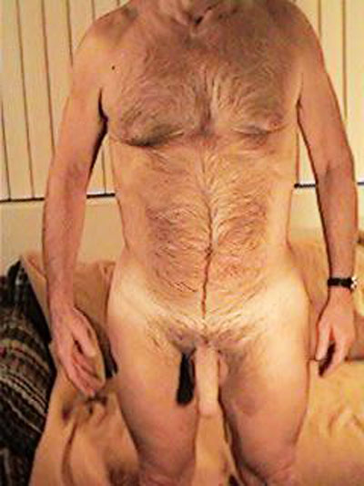Featured bear