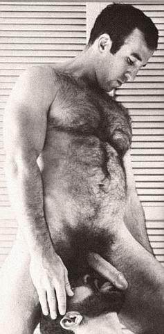 Featured bear