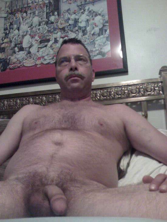 Featured bear