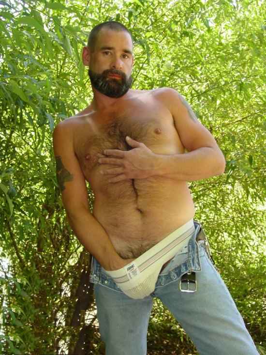 Featured bear