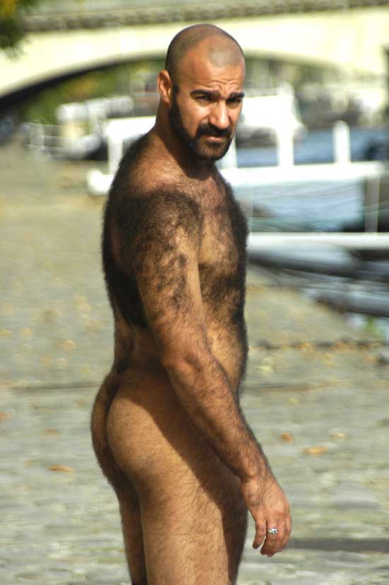Featured bear