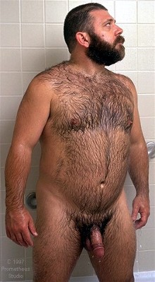 Featured bear