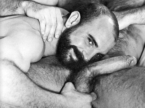 Featured bear