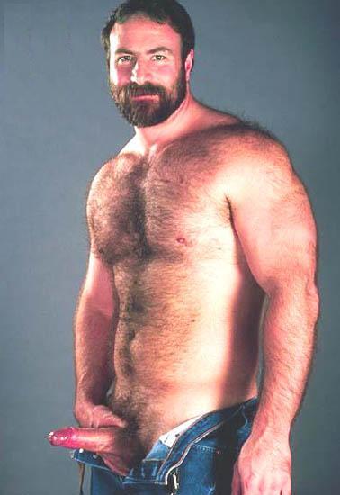 Featured bear