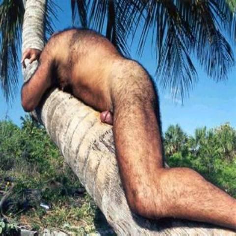 Featured bear