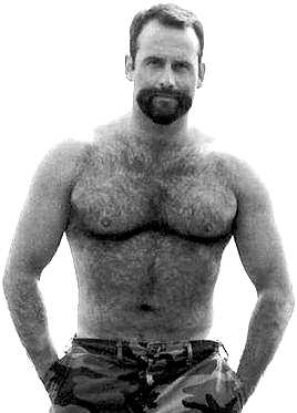 Featured bear