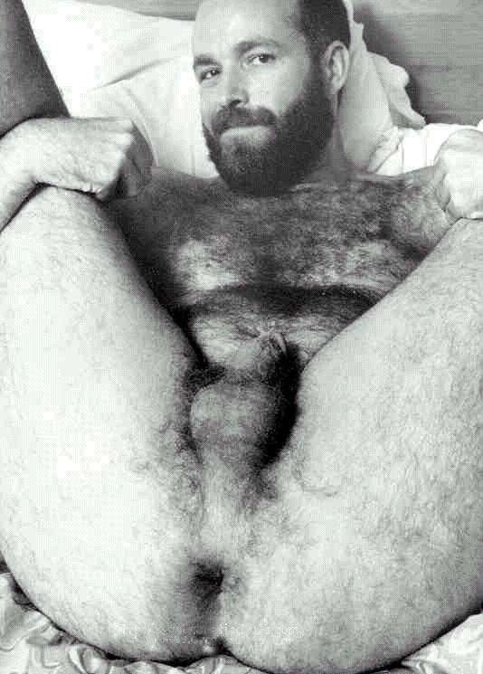 Featured bear